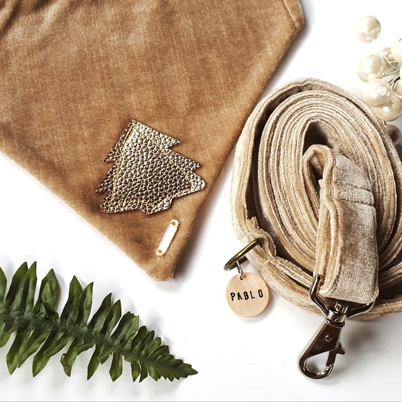 Pablo Gold Label Christmas Tan Velvet Dog Bandana & Leash Set - Picture 7 of 11